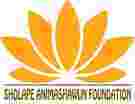 Sholape Animashaun Foundation (SAF)